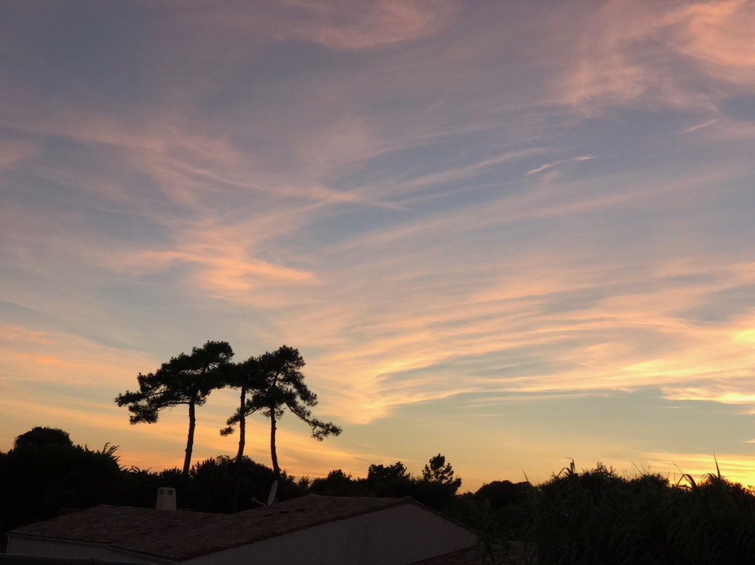 Atlantic Hôtel主图