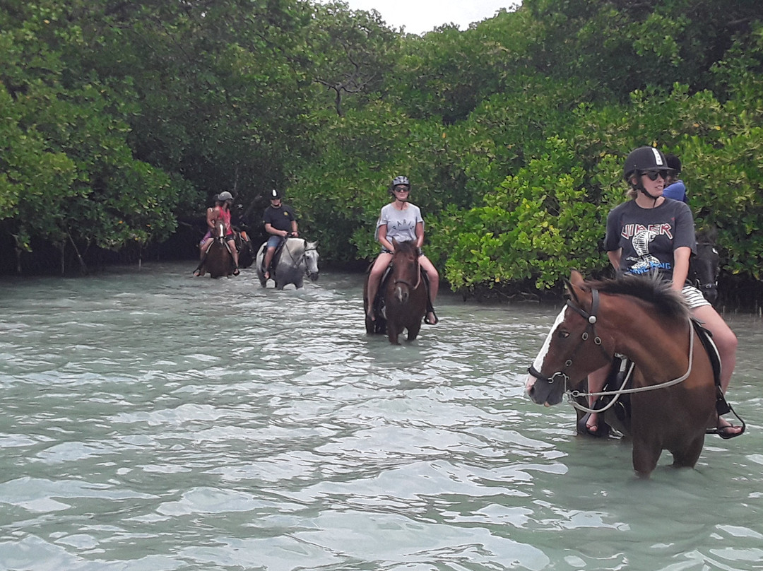 Santo Horse Adventures景点图片