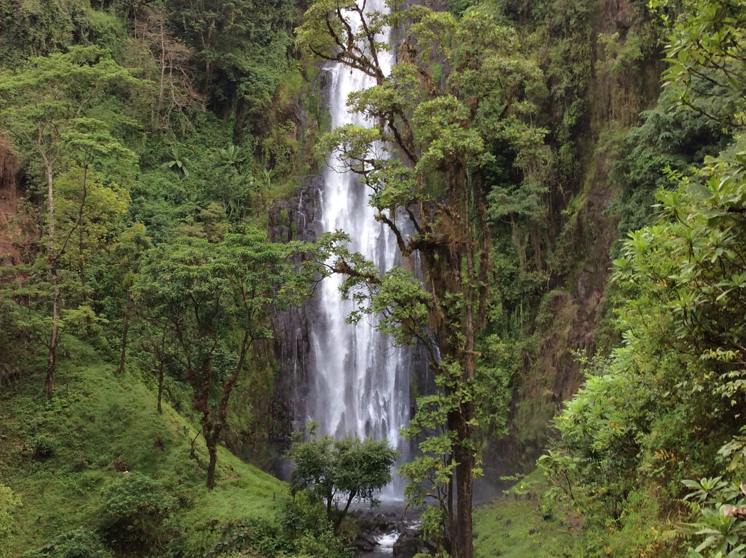 Materuni Waterfalls-Namro必去景点
