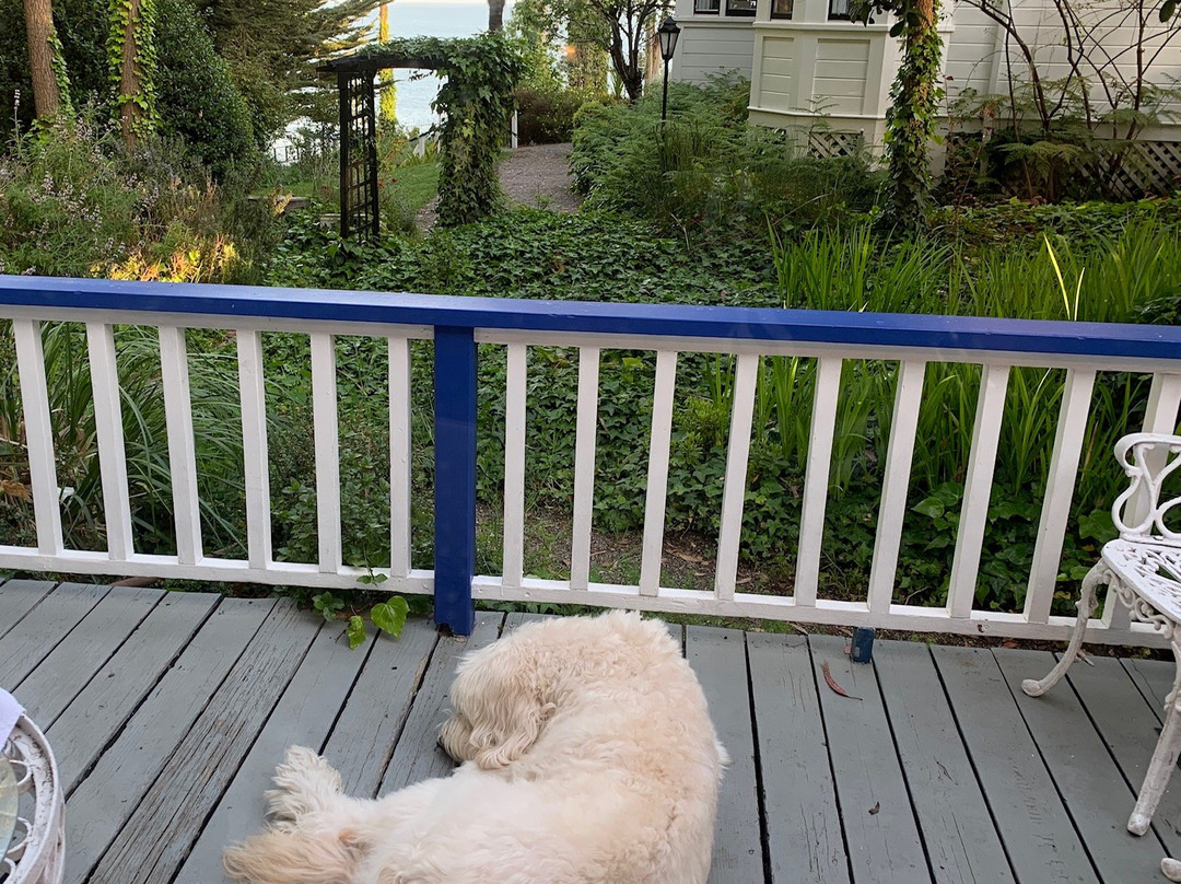 Monarch Cove Inn主图