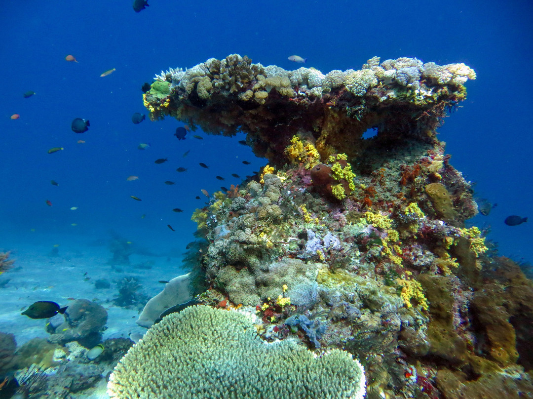 Moyo Island Resort主图