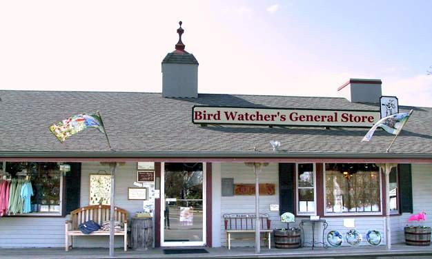 Bird Watcher's General Store景点图片