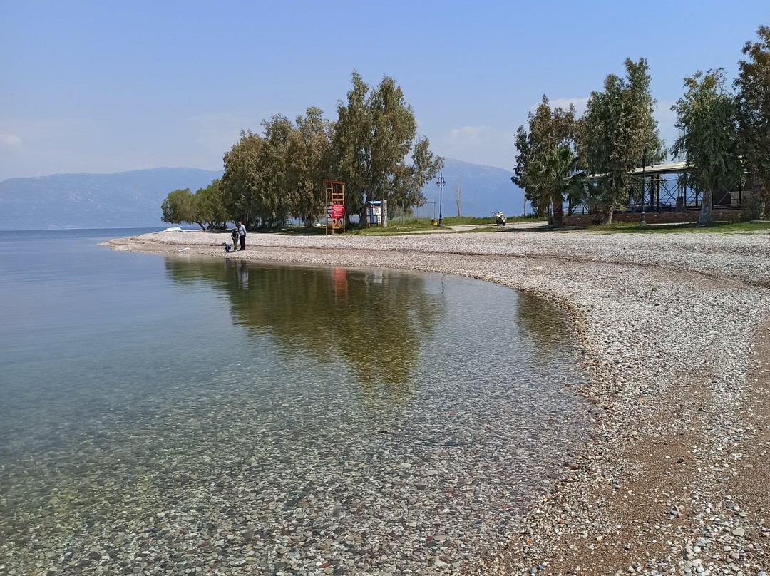 Akoli Beach景点图片