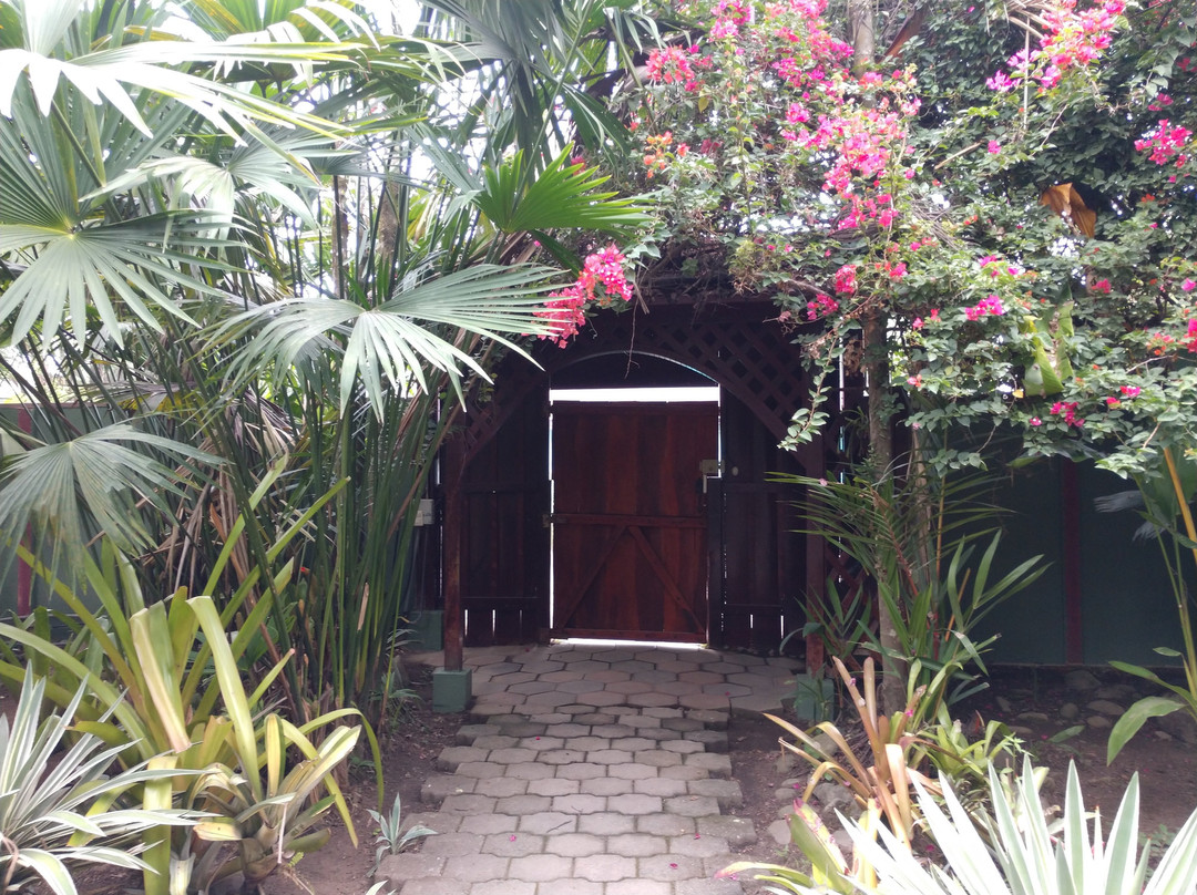 恩坎托住宿加早餐旅馆主图