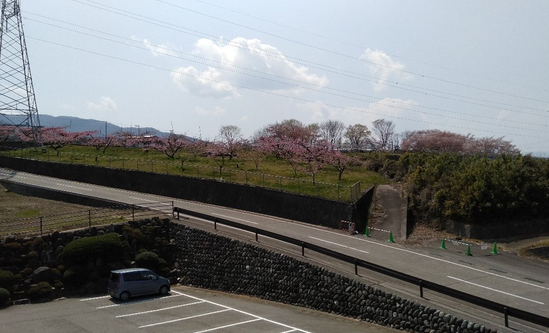 Yashiro Furusato Park景点图片