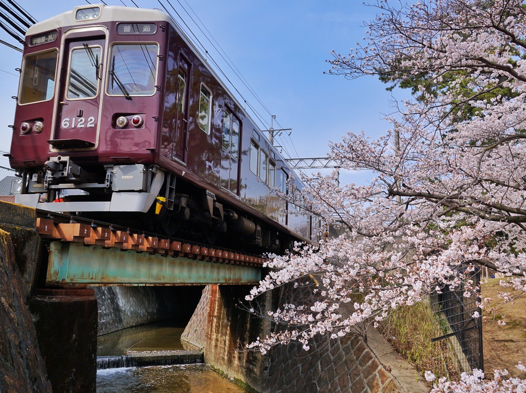 Shukugawa Park-西宫市必去景点