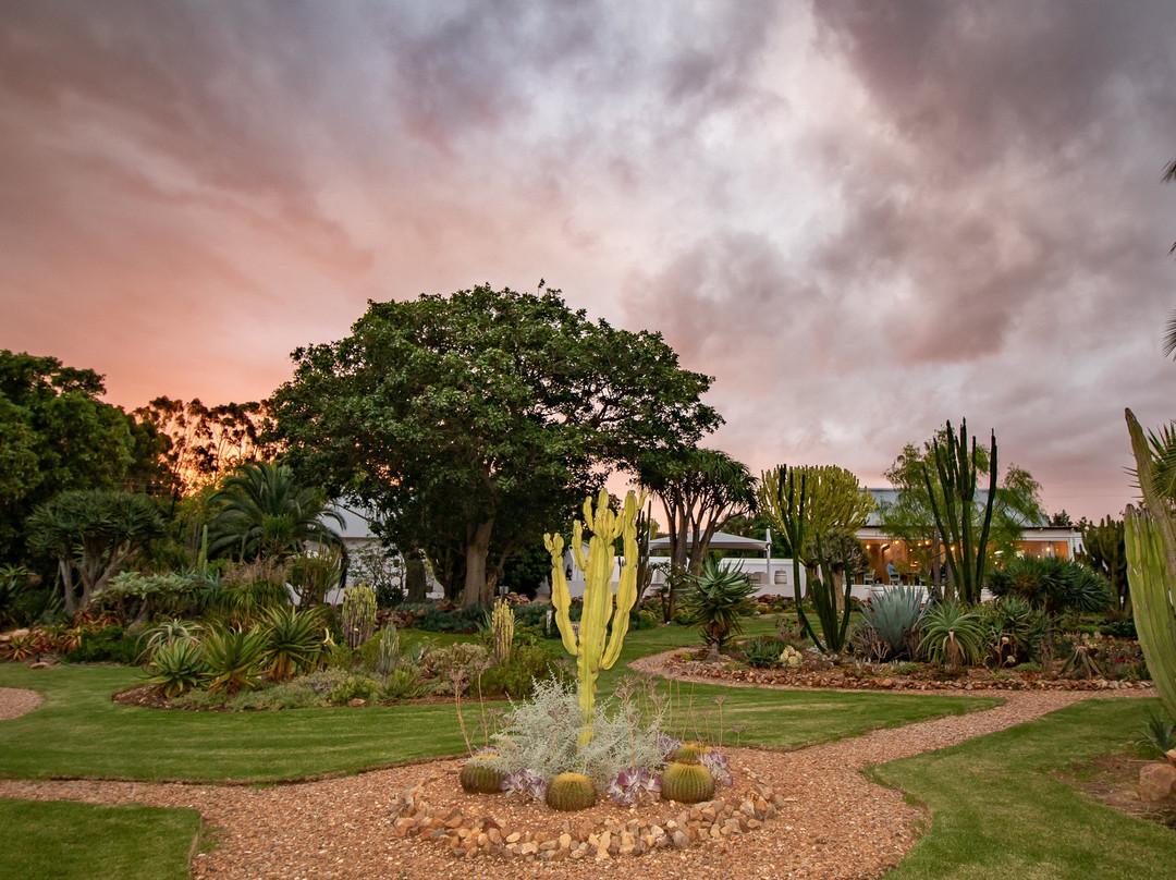 Mo & Rose at Soekershof主图