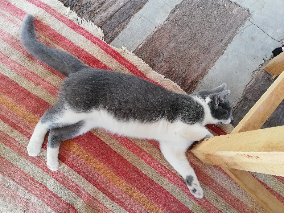 Casa de Campo Humahuaca主图