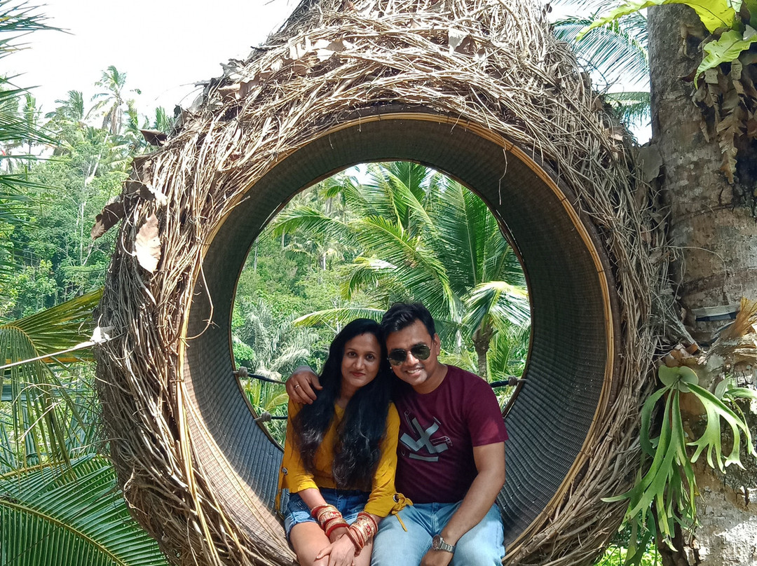 Aloha Ubud Swing-乌布必去景点