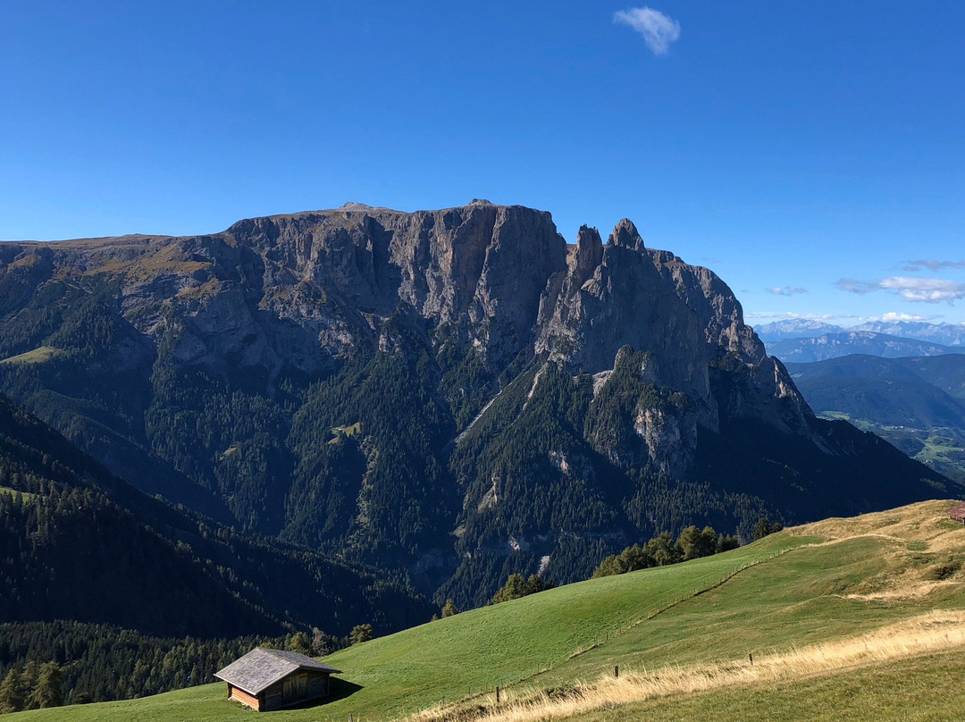 Seiser Alm - Alpe di Siusi景点图片
