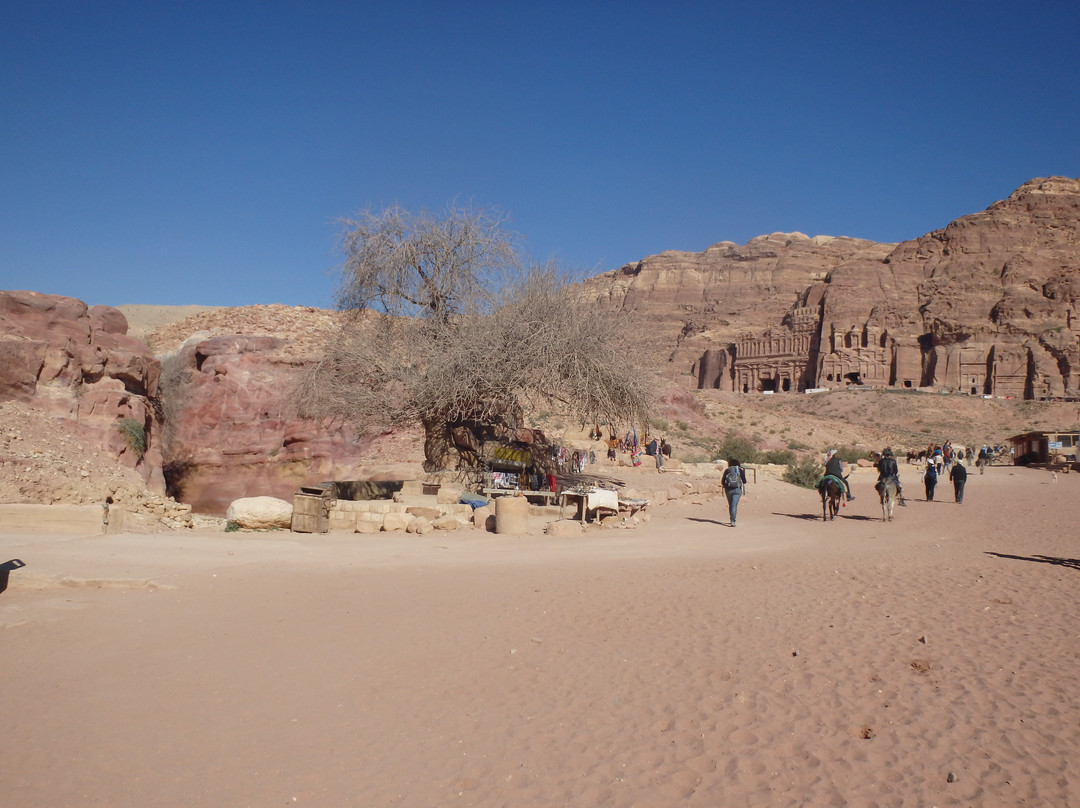 Nymphaeum-佩特拉必去景点