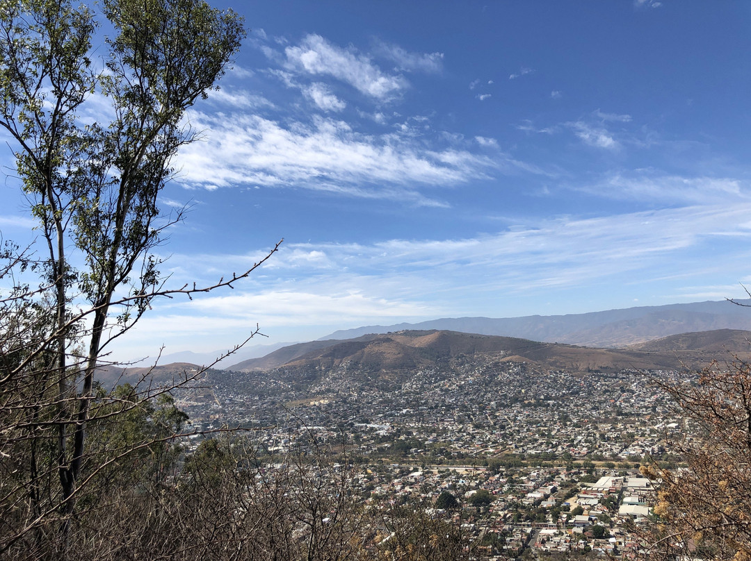 Cerro del Fortín景点图片