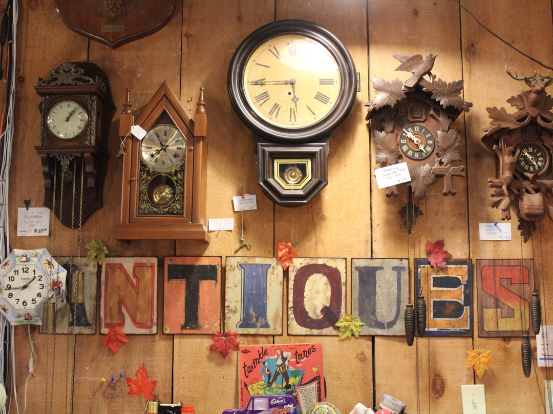 Antiques On Highway 48景点图片