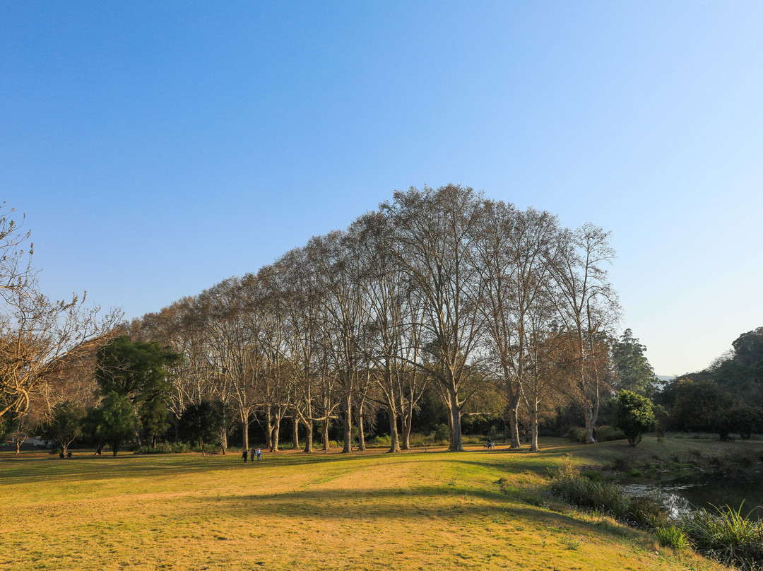 KwaZulu-Natal National Botanical Garden-彼得马里茨堡必去景点