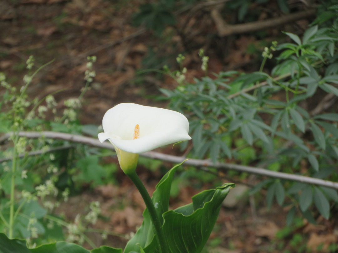Garin Regional Park-海沃德必去景点