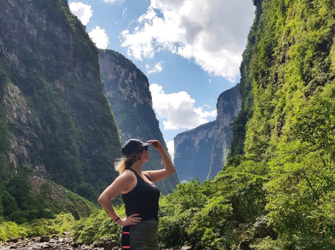 Trilha Do Rio Do Boi-Praia Grande必去景点