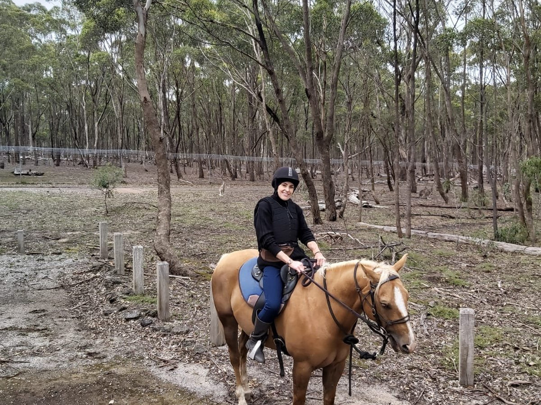 Woodlands Trail Riding景点图片