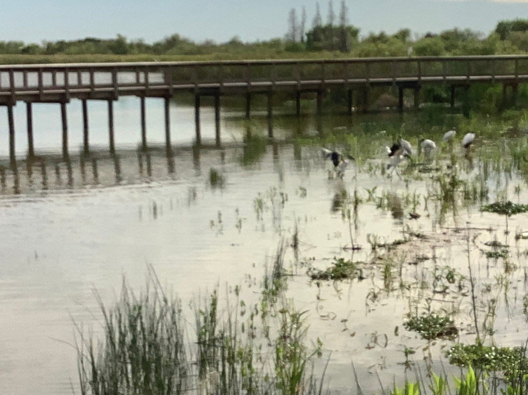 Se7en Wetlands-莱克兰必去景点
