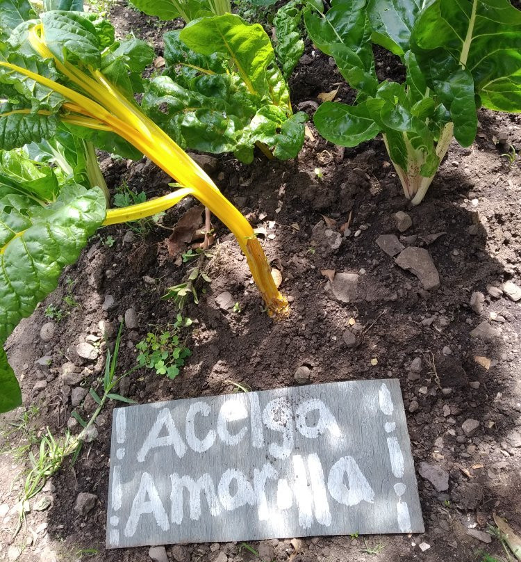 Bioparque La Reserva-Cota必去景点