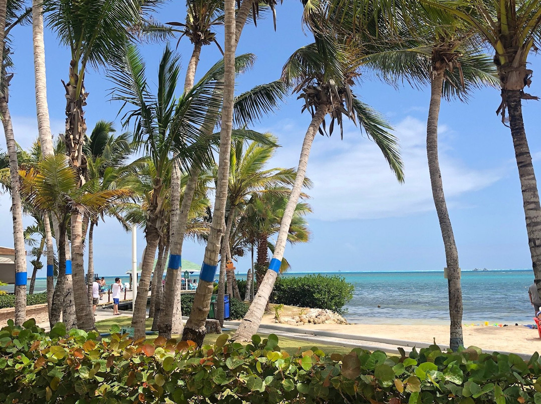 Decameron Marazul主图