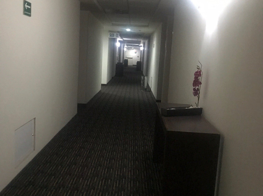 Hotel Greenwood Torreon主图