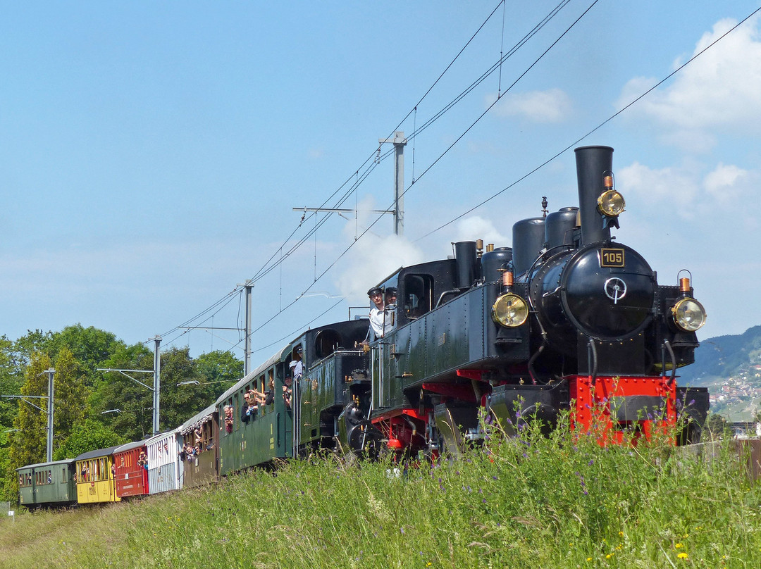 Blonay-Chamby Railway Museum景点图片
