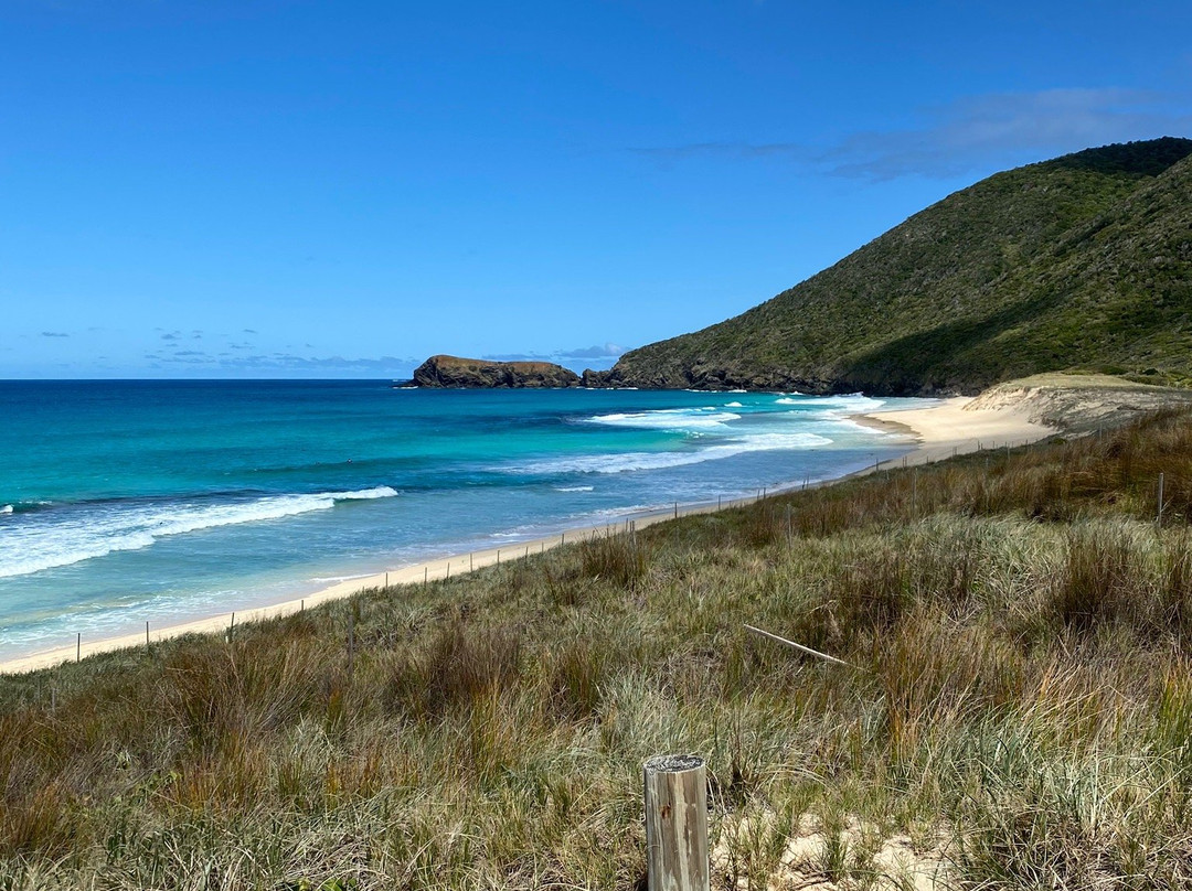 Blinky Beach-豪勋爵群岛必去景点