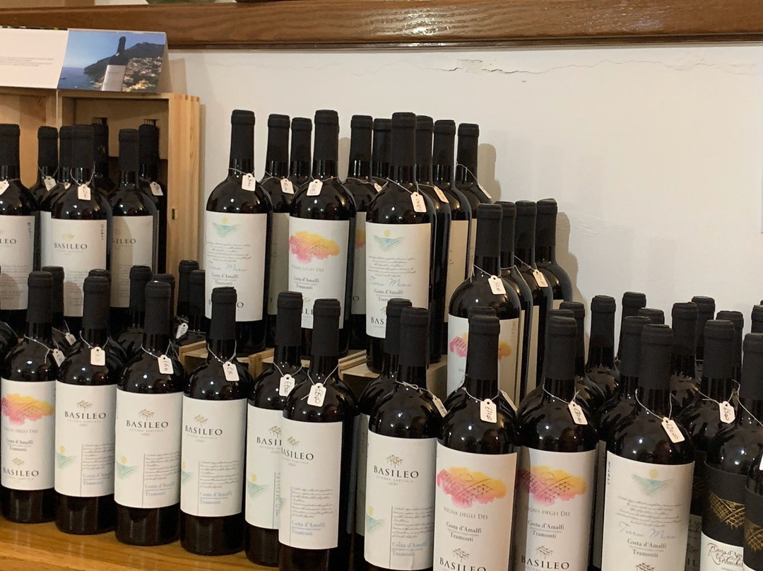 Basileo Wine and Vineyard景点图片