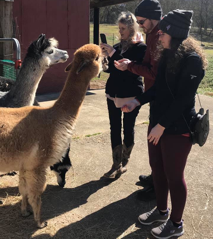 Blackberry Hill Alpacas Weddings and Events景点图片