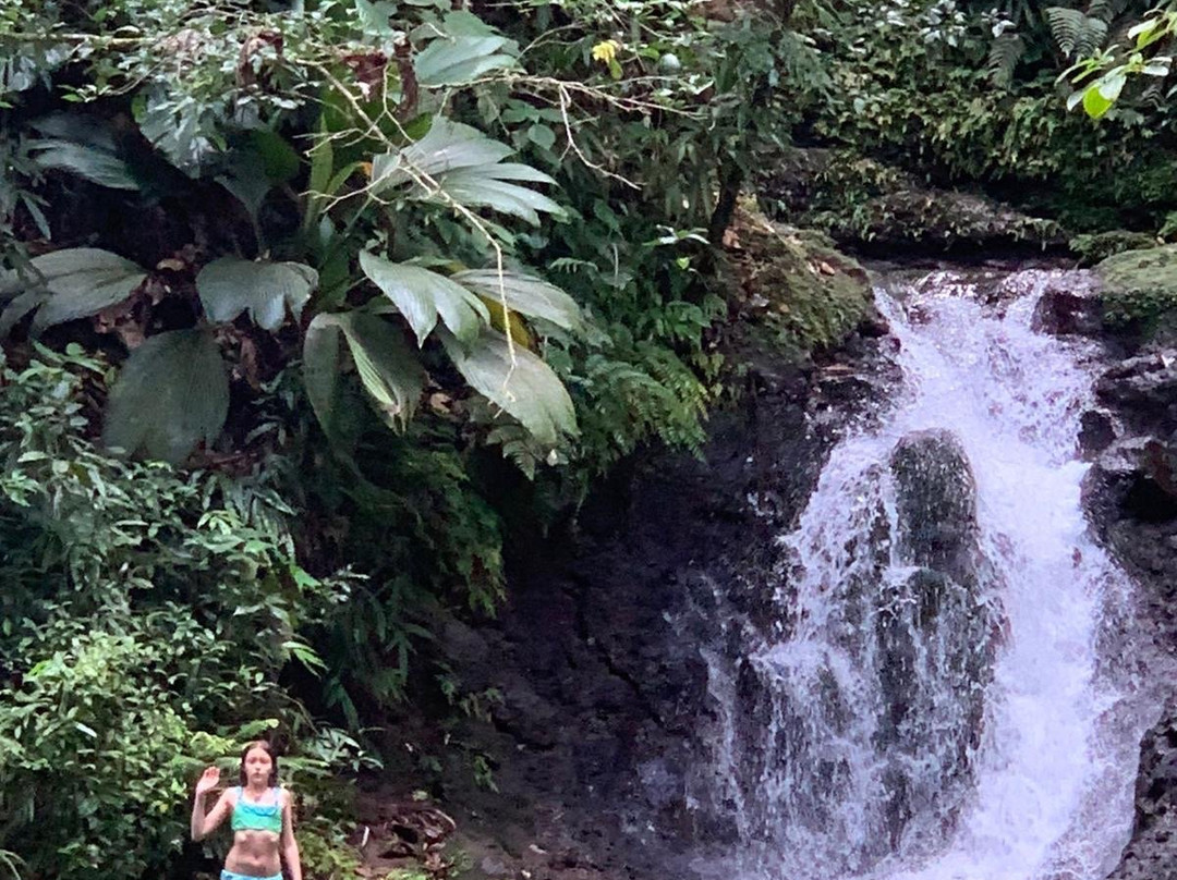 Guadeloupe National Park-Petit-Bourg必去景点