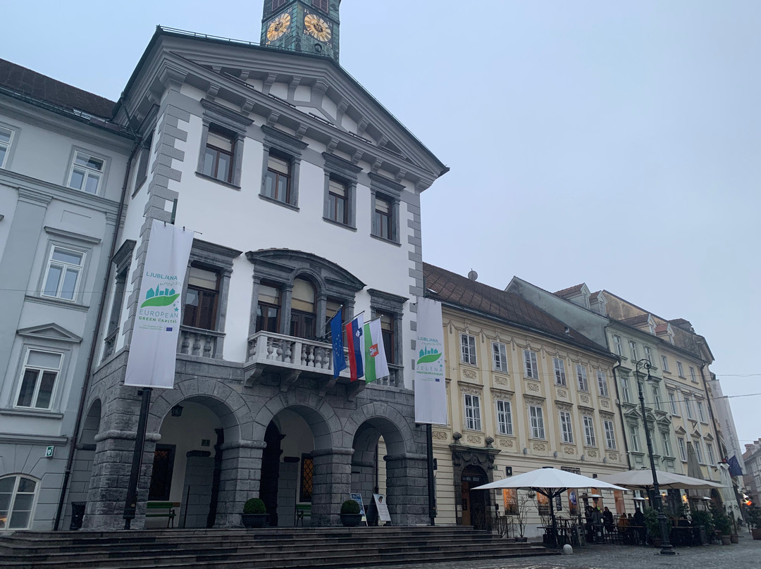 Old Square (Stari trg)-卢布尔雅那必去景点