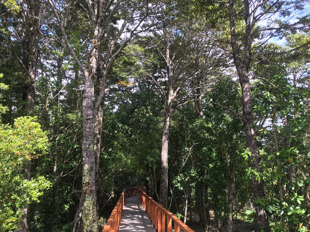 Isla de los Muertos-Tortel必去景点