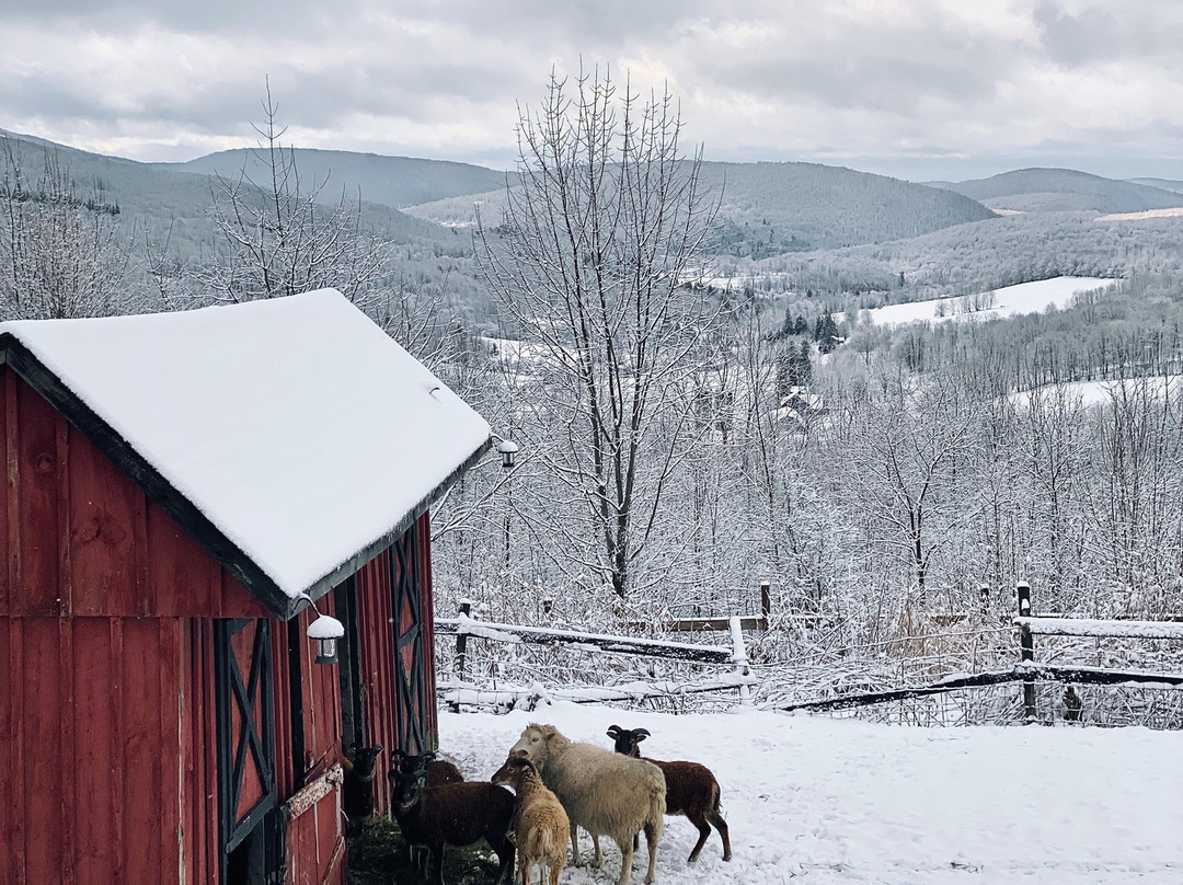 Highlanders View Bed & Breakfast主图