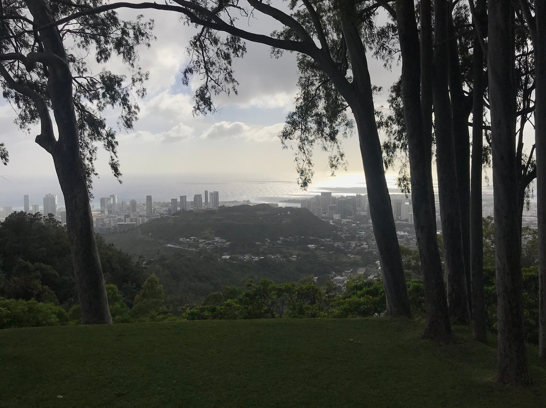 Liljestrand House-火奴鲁鲁必去景点