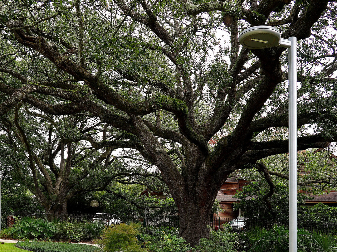 River Ridge Meditation Park景点图片