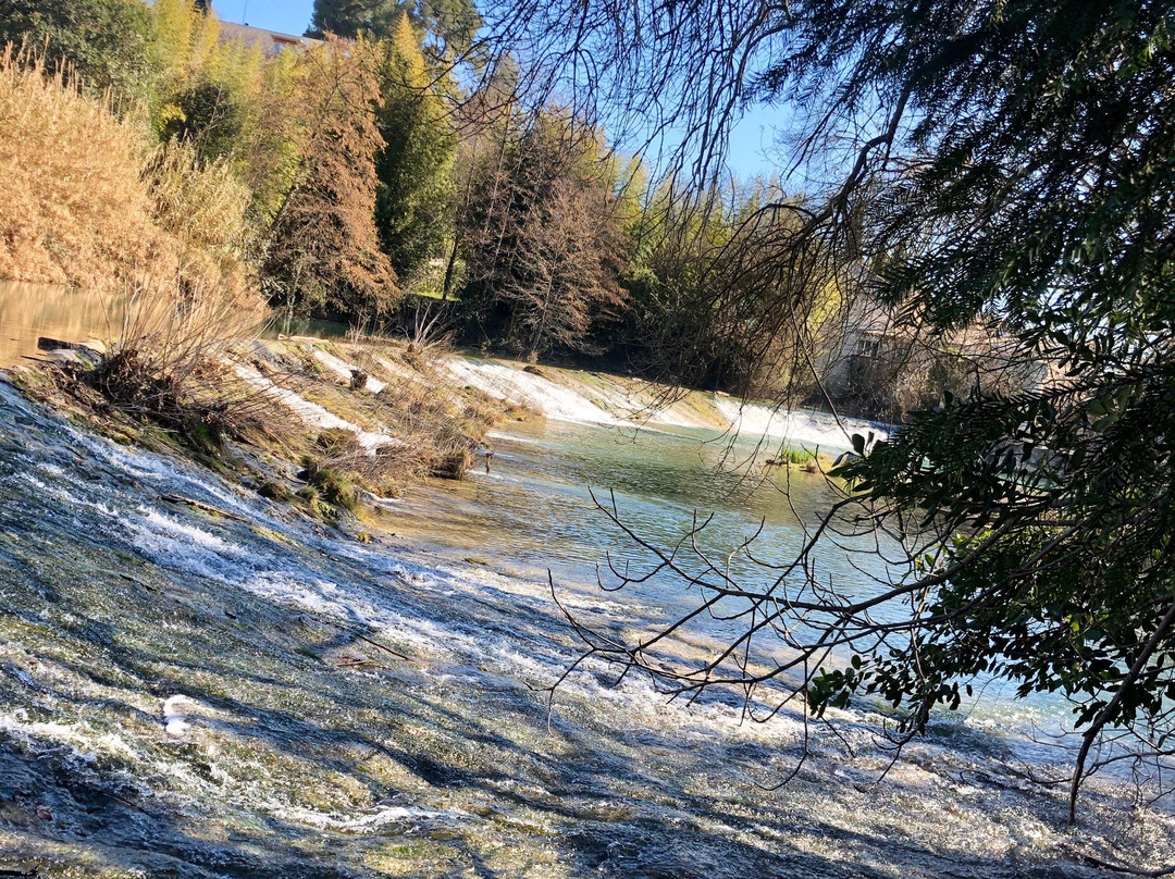 Parc du Domaine de Meric-蒙彼利埃必去景点