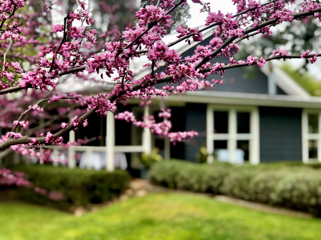 Grabben Gullen餐馆和美食-Laggan Pantry