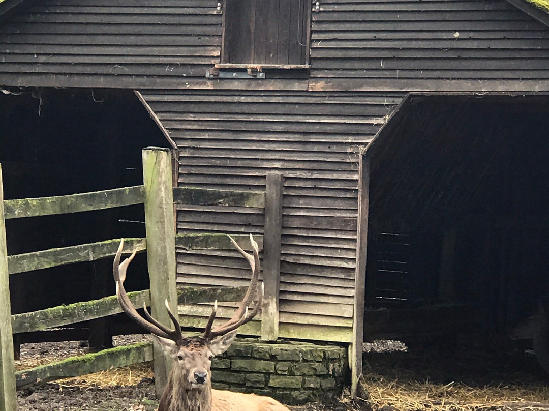 Tierpark Tannenbusch-Dormagen必去景点