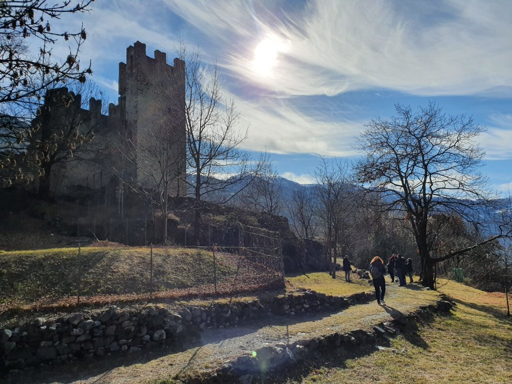 Castello di San Faustino景点图片