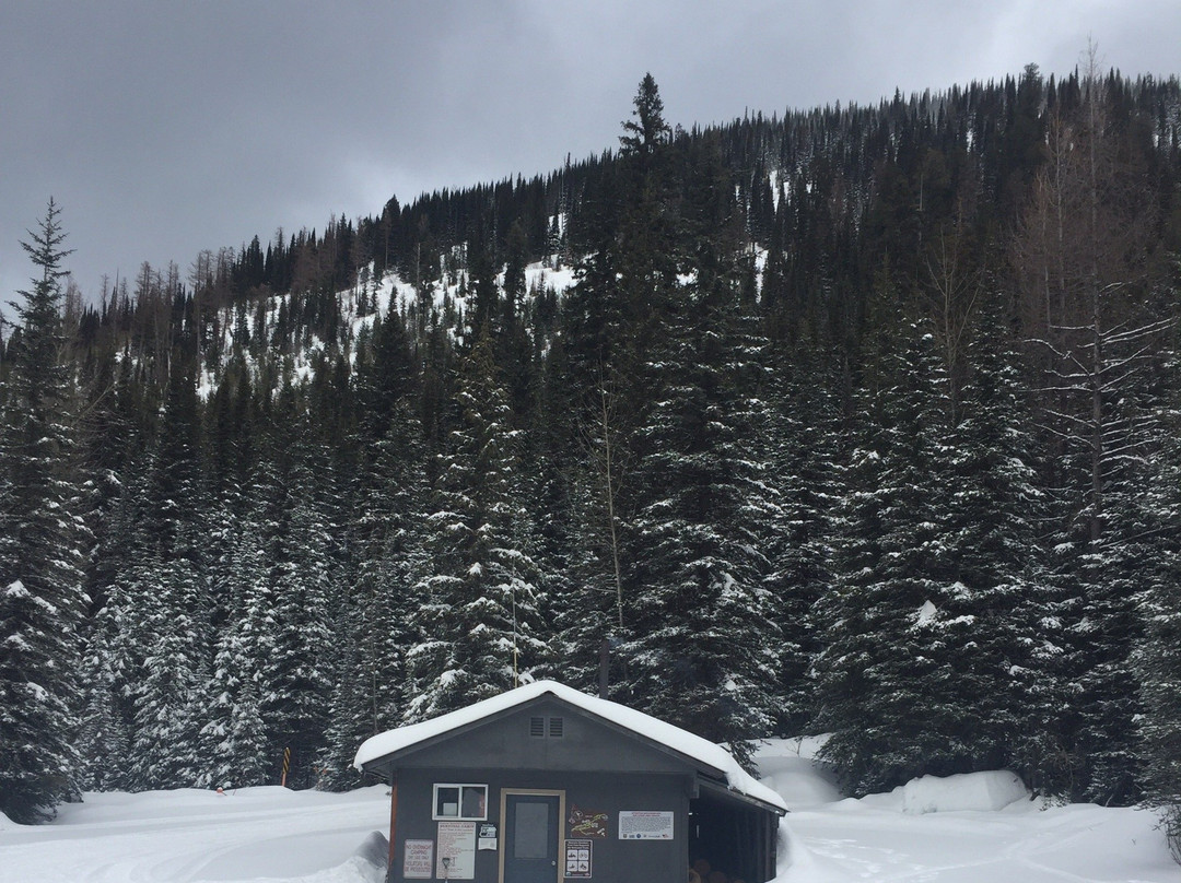 Swan Mountain Snowmobiling-Columbia Falls必去景点