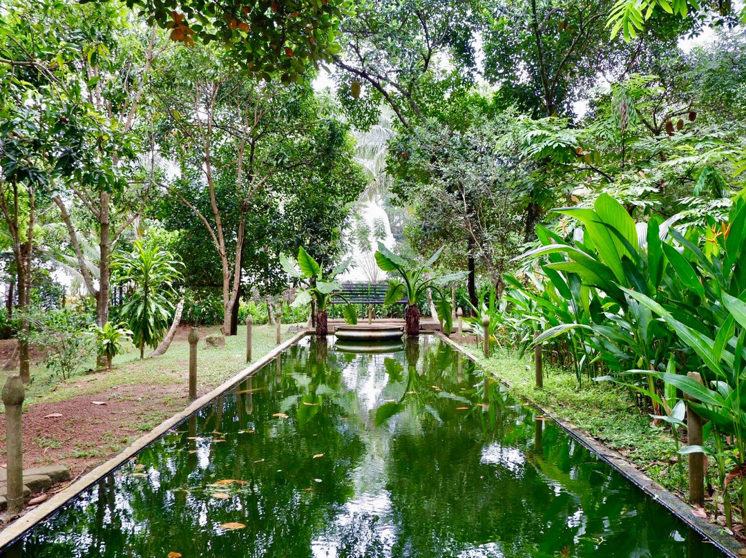 Casa Heliconia主图