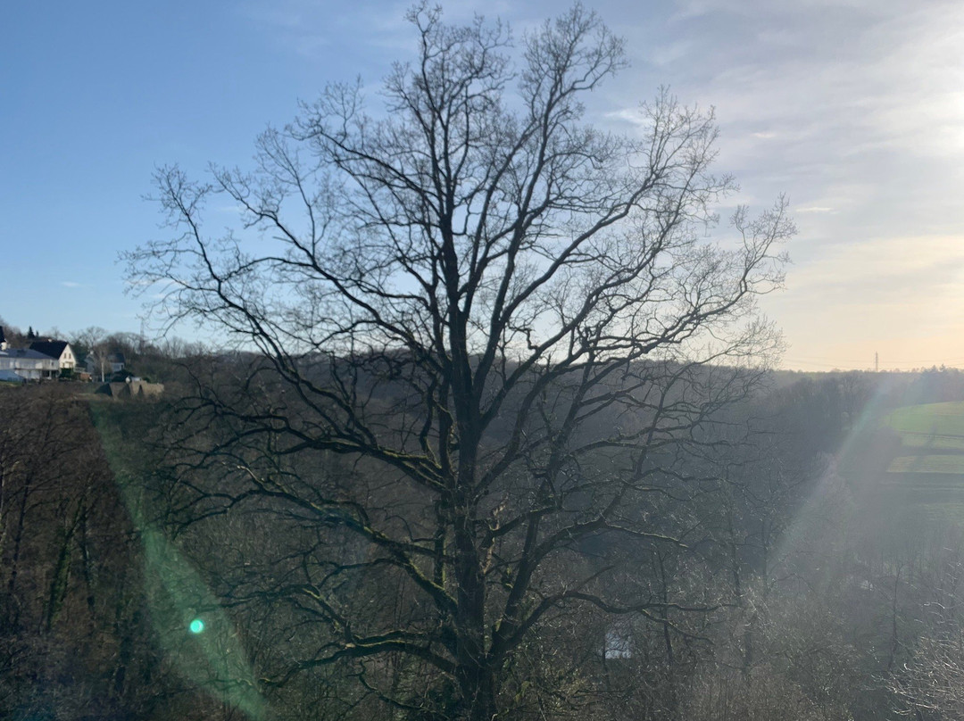Burg Blankenberg-Hennef必去景点