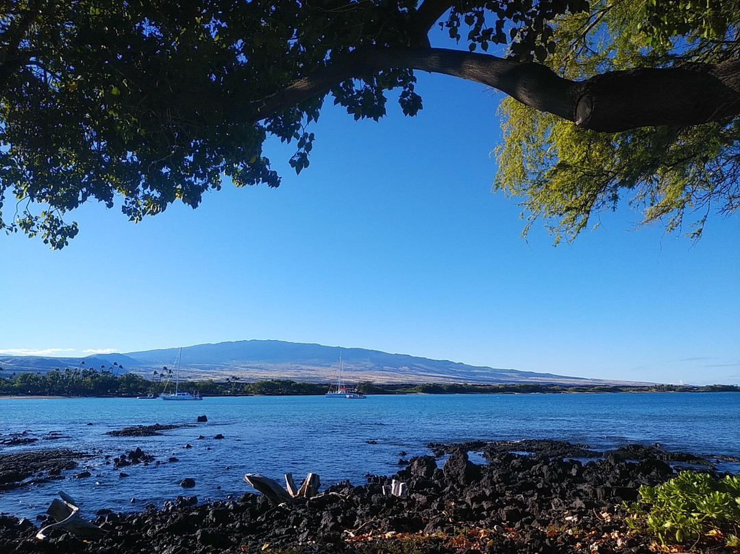 Big Island-Medicine Lake必去景点