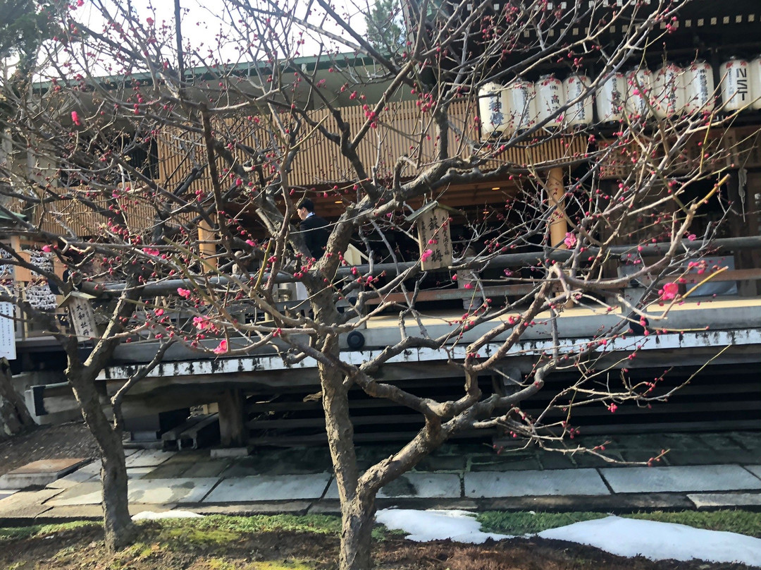 Hakusan Shrine景点图片