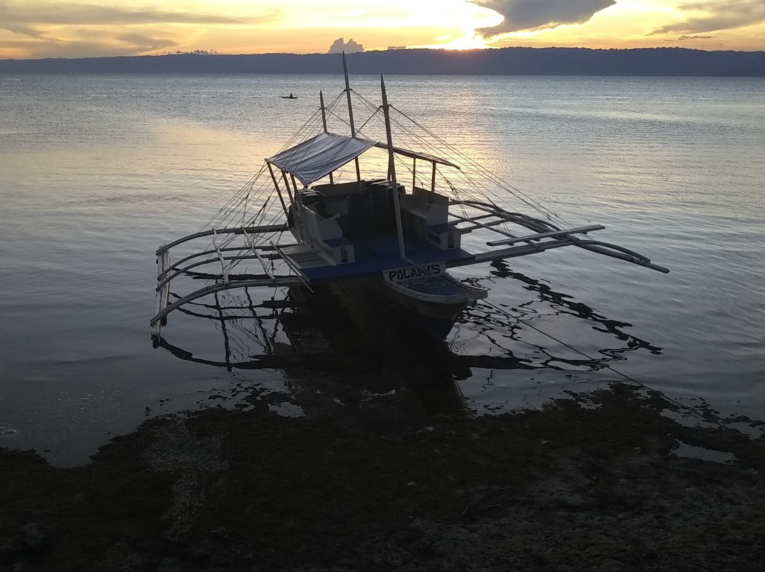 Polaris Beach and Dive Resort主图