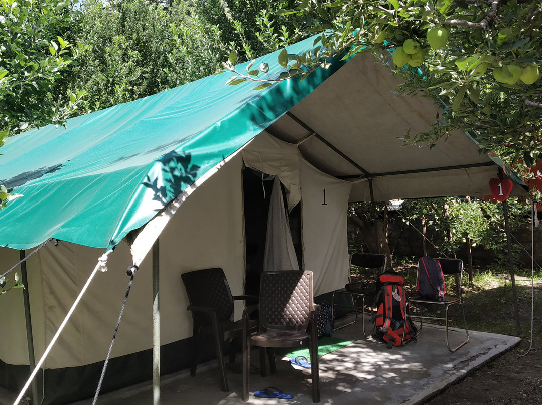 Apple Orchard Farm and Camping主图