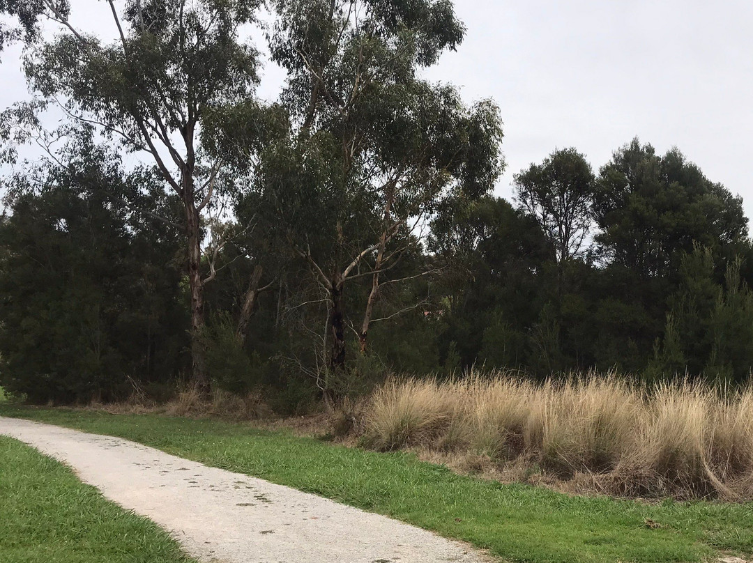 Hull Road Wetlands景点图片