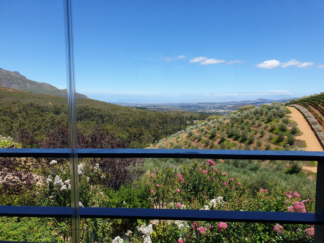 Gourmet Wine Tours-开普敦中心区必去景点