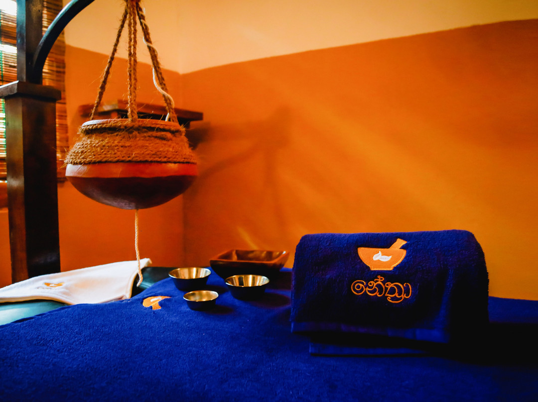 Nethra Ayurvedic Spa & Resort景点图片