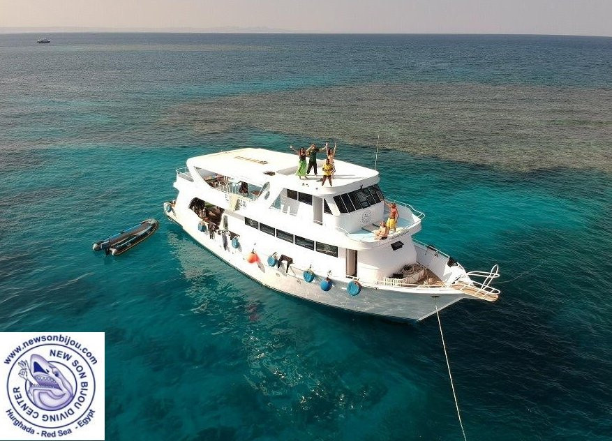 纽孙比秀潜水中心-赫尔格达必去景点